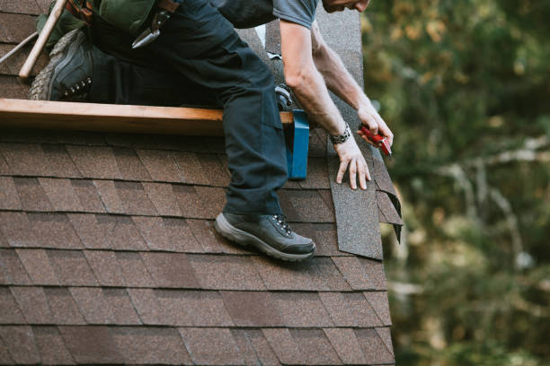 Best Metal Roofing Contractor  in West View, PA